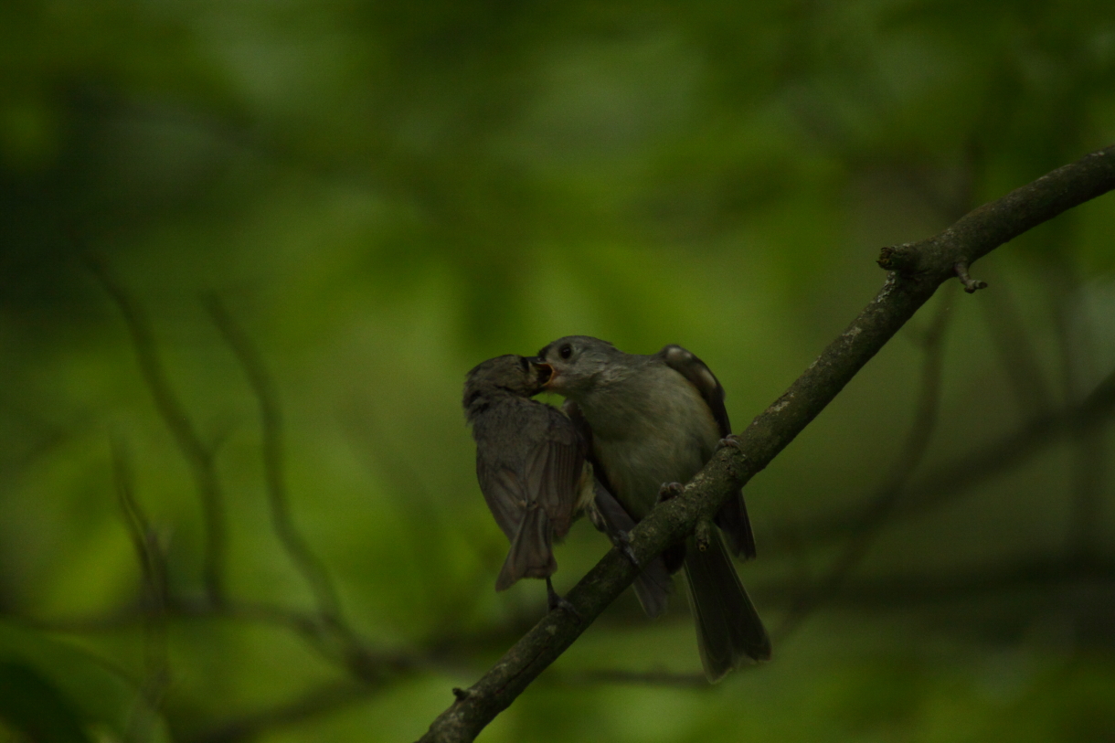 2014 06 17 HTP 63426